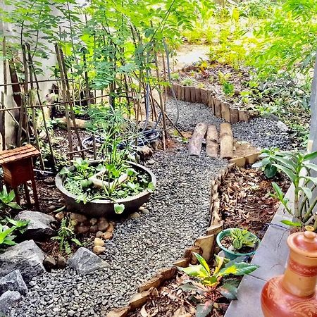 Bindu Homestay 웰라와야 외부 사진