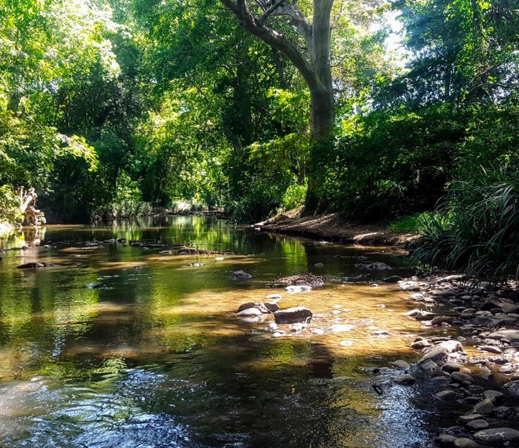 Bindu Homestay 웰라와야 외부 사진