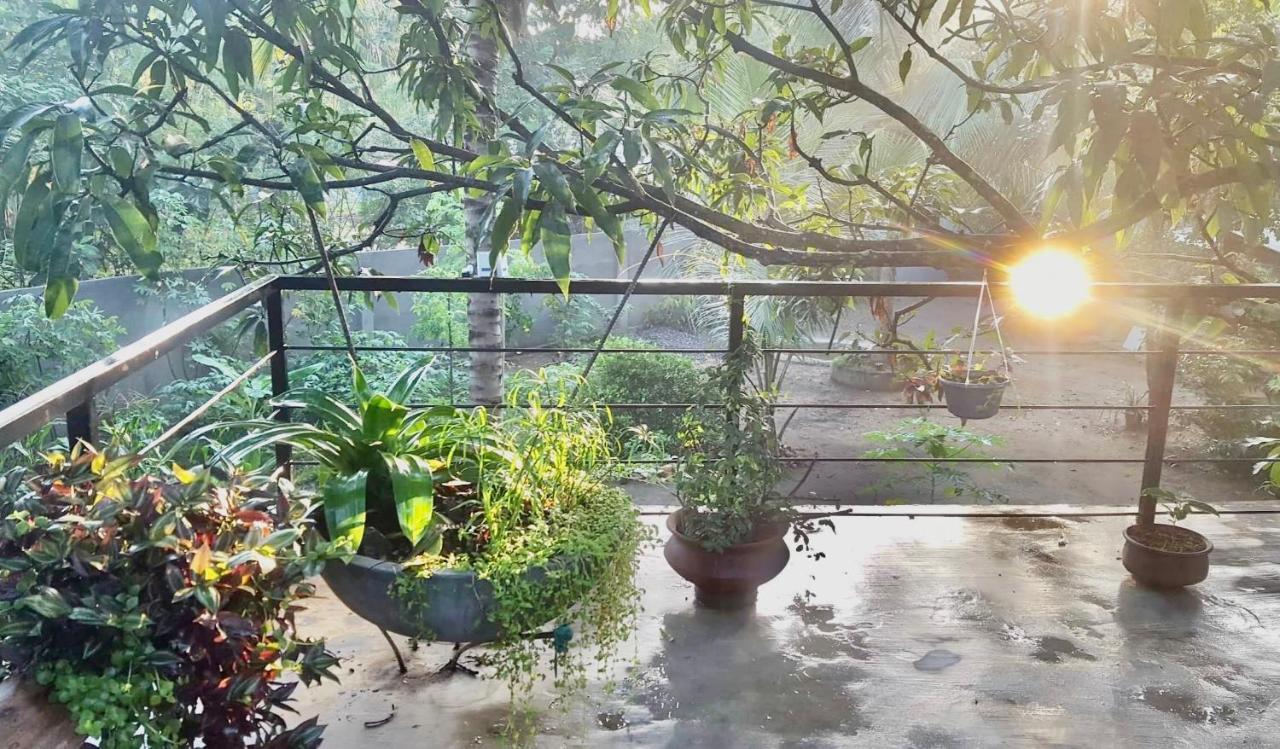 Bindu Homestay 웰라와야 외부 사진