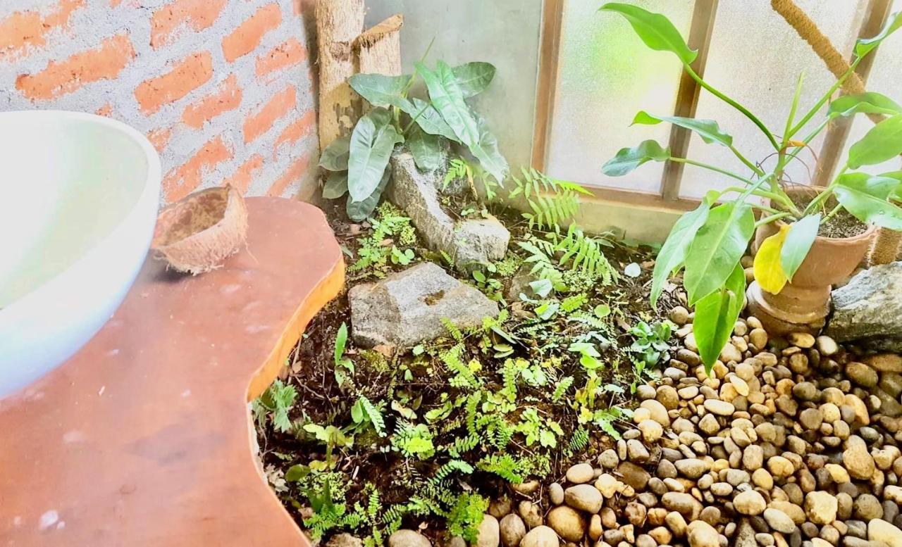 Bindu Homestay 웰라와야 외부 사진