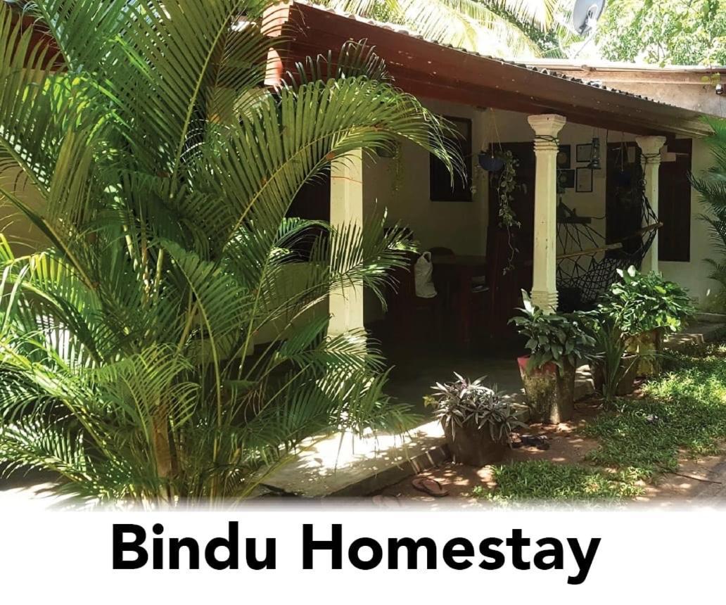 Bindu Homestay 웰라와야 외부 사진