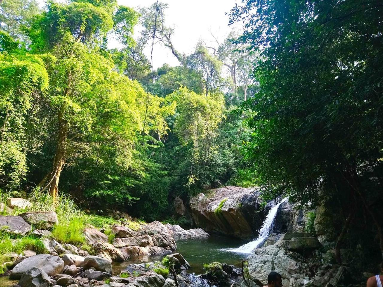 Bindu Homestay 웰라와야 외부 사진